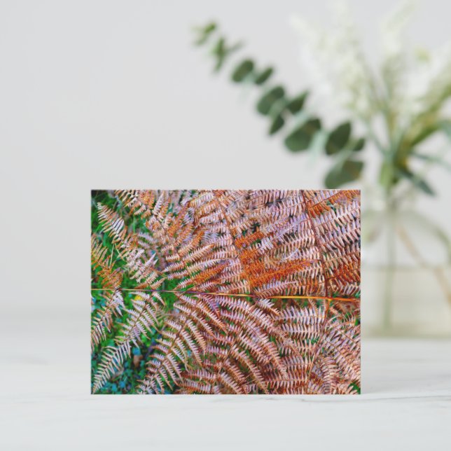 Woodland Ferns Postcard (Standing Front)