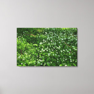 Woodland Flowers Canvas Print