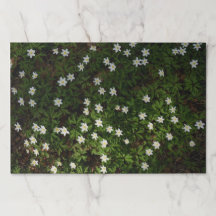 Woodland flowers Paper Placemat