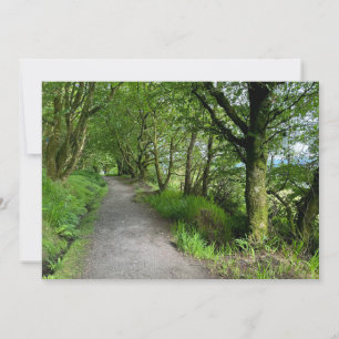 Woodland Footpath on Isle of Bute Scotland on a Holiday Card