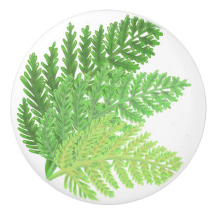 Woodland forest green ferns ferns botanical plants ceramic knob