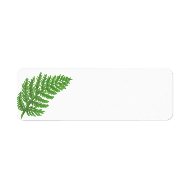 Woodland forest green ferns forest ferns (Front)