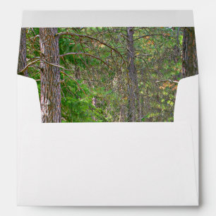 Woodland forest scene, your return address envelope