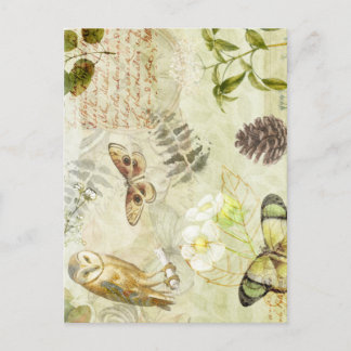 Woodland Forest Wildlife Owl Butterfly Nature  Postcard