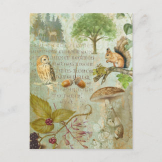 Woodland Forest Wildlife Squirrel, Owl, Autumnal J Postcard