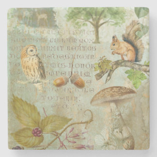 Woodland Forest Wildlife Squirrel, Owl, Autumnal Stone Coaster