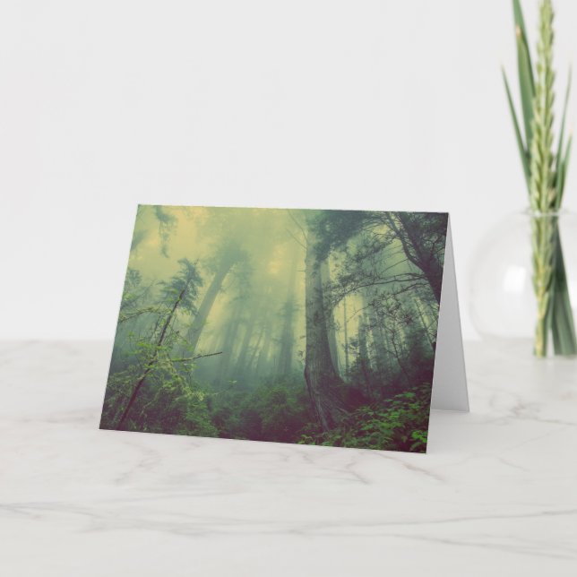 Woodland From Below Card (Front)