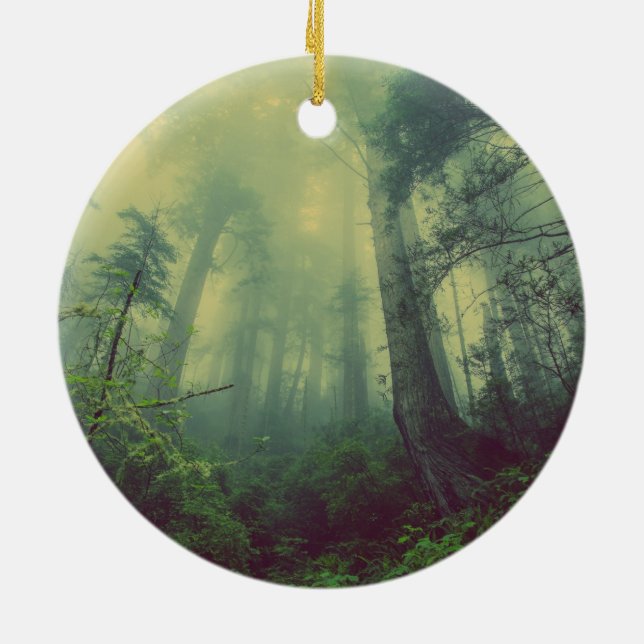 Woodland From Below Ceramic Tree Decoration (Back)