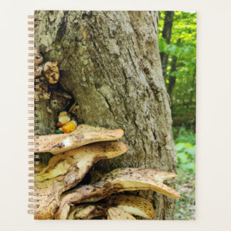 Woodland Gnome in Mushroom Tree House  Planner
