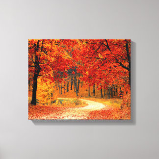 Woodland in Fall Canvas Print