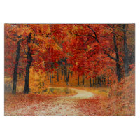 Woodland in Fall