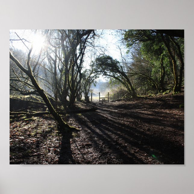 woodland in winter art poster (Front)