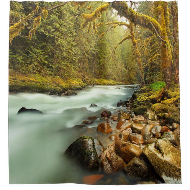 Woodland Landscape with Flowing Stream Shower Curtain (Front)