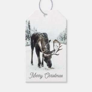 Woodland Moose In Winter Snow Gift Tags