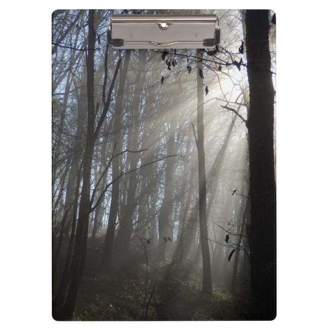 Woodland Morning Mist Clipboard (Front)