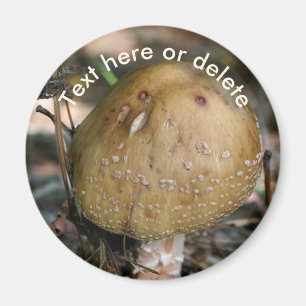 Woodland Mushroom Nature Personalized Magnet