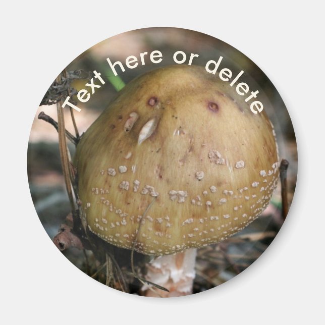 Woodland Mushroom Nature Personalized Magnet (Front)