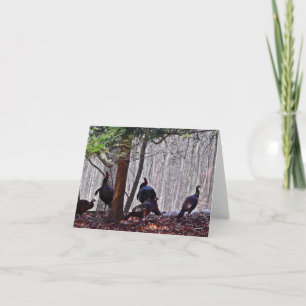 Woodland Note Card Turkeys