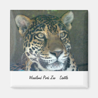 Woodland Park Zoo Cat Magnet