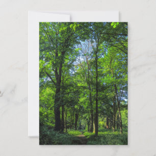 Woodland Path. Blackweir Woods, Cardiff, Wales. Card