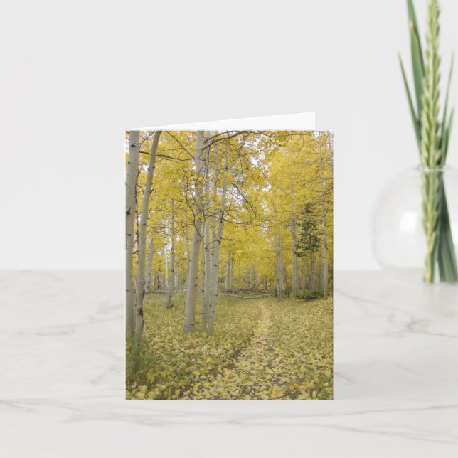 Woodland Path Christian All Occasion Greeting Card (Front)