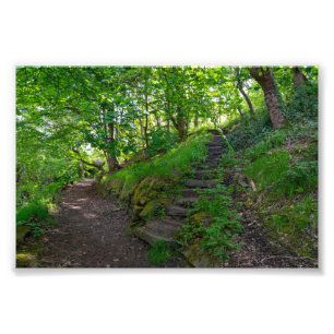 Woodland Path in Allan Park Sowerby Bridge Photo Print