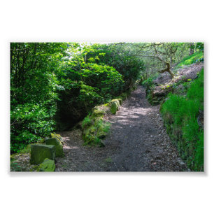 Woodland Path in Allan Park Sowerby Bridge Photo Print