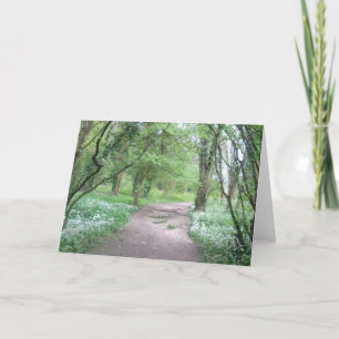 Woodland Path Photo Greeting Card