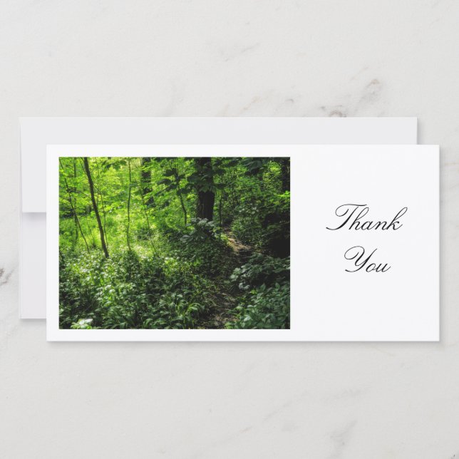 Woodland Path - Thank You (Front)
