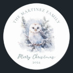 Woodland Pine Forest Owl Merry Christmas Classic Round Sticker<br><div class="desc">An owl is nestled in winter pine branches. Merry Christmas is written in a simple script below,  with an additional line below to customise the measure further. All of the text on this card can be edited.</div>