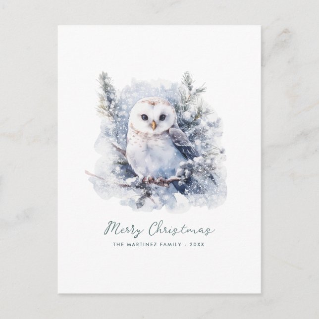 Woodland Pine Owl Merry Christmas Holiday Postcard (Front)