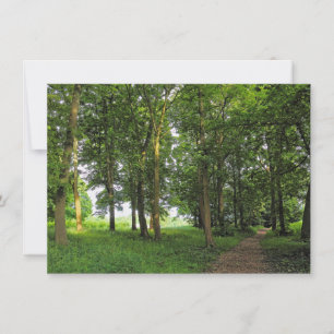 Woodland Scene. Blackweir Woods, Cardiff Card