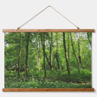 Woodland Scene. Blackweir Woods, Cardiff