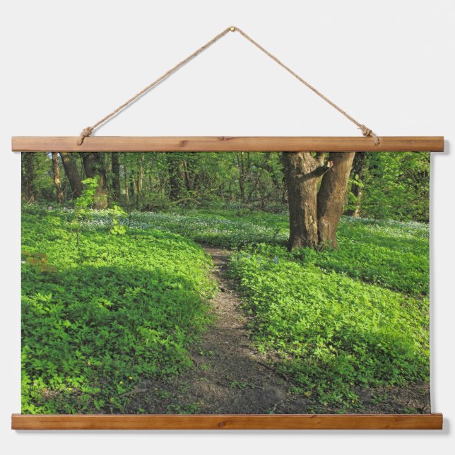 Woodland Scene. Blackweir Woods, Cardiff Hanging Tapestry (Front)