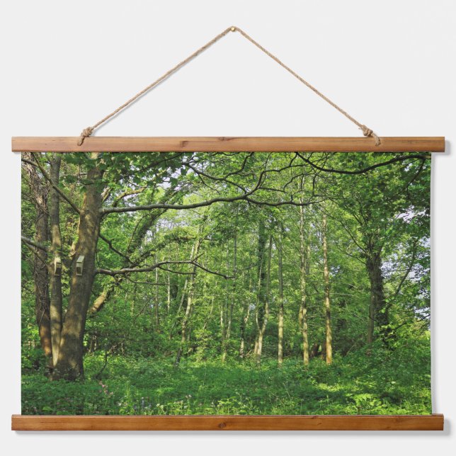 Woodland Scene. Blackweir Woods, Cardiff Hanging Tapestry (Front)