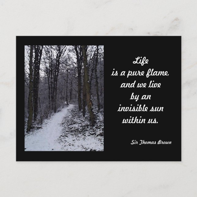 Woodland Snow Scene Postcard (Front)