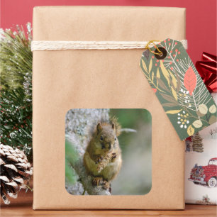 Woodland Squirrel on Branch Square Sticker