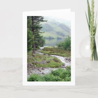Woodland stream at Buttermere Card
