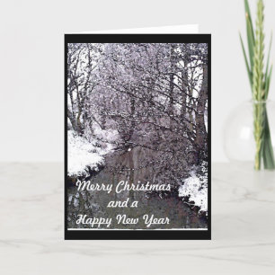 Woodland Stream in Snow Holiday Card