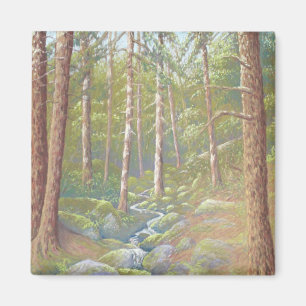 Woodland Stream, Peak District in Pastel Magnet