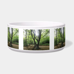 Woodland Sunshine Dog Bowl