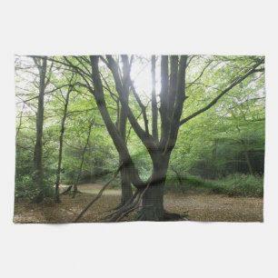 Woodland Sunshine Kitchen Towel