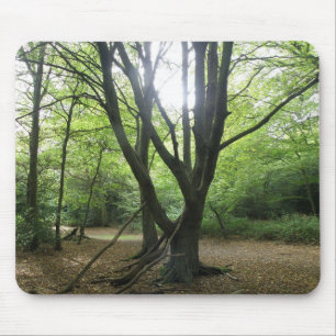 Woodland Sunshine Mousepad