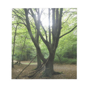 Woodland Sunshine Notepad