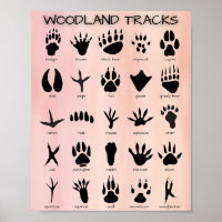 Woodland Tracks Poster
