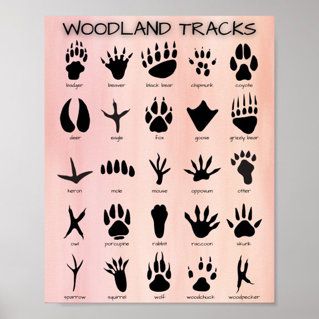 Woodland Tracks Poster (Front)