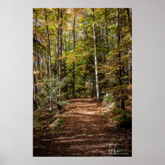 Woodland Trail Poster
