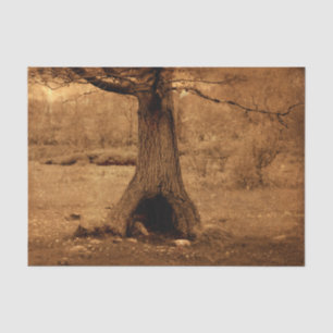 Woodland Tree Old Vintage Rustic Texture Tissue Paper