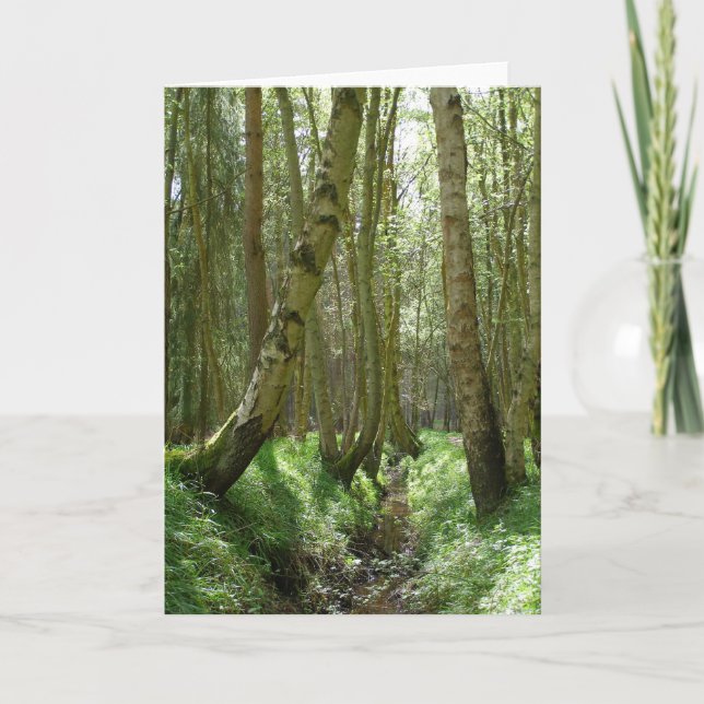 Woodland trees - greeting cards (Front)