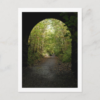 Woodland Walk: Keswick Postcard